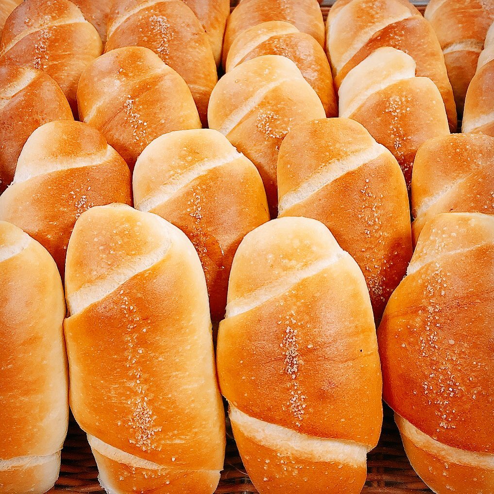 【単品】全粒粉の塩パン1個